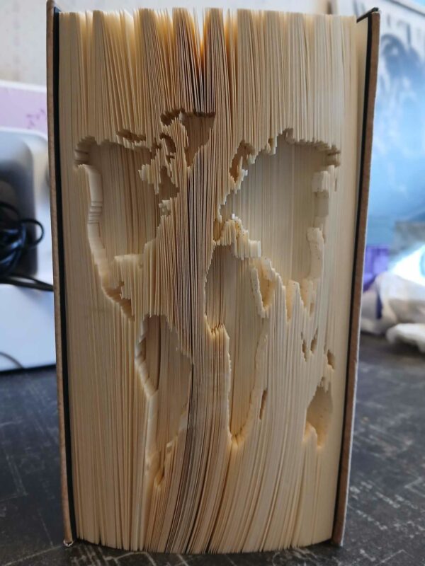 Livre plié Map Monde